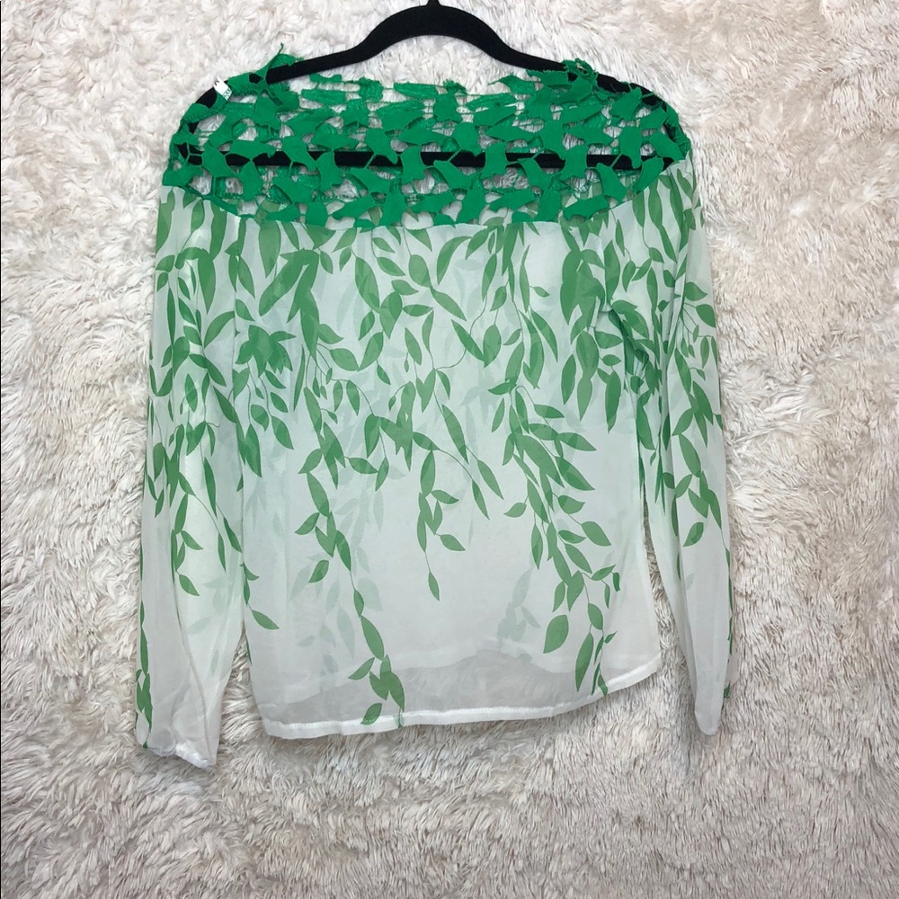 Sheer Blouse